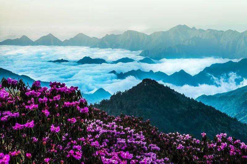 太阳浩劫